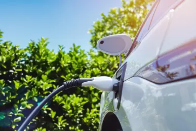 Une voiture électrique moderne branchée à une borne de recharge entourée de verdure.