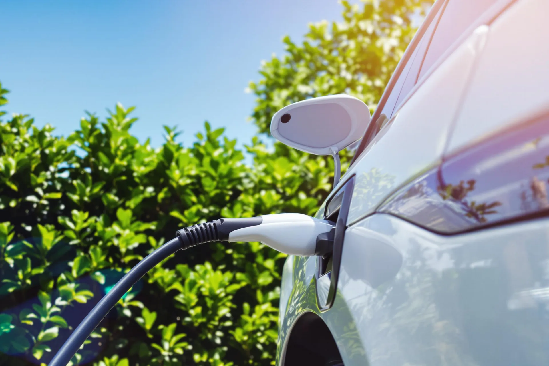 Une voiture électrique moderne branchée à une borne de recharge entourée de verdure.